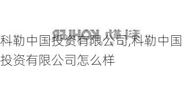 科勒中国投资有限公司,科勒中国投资有限公司怎么样-第3张图片-求稳装修网