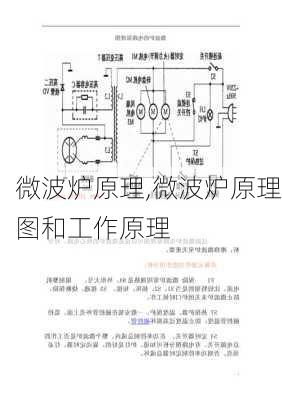 微波炉原理,微波炉原理图和工作原理-第1张图片-求稳装修网