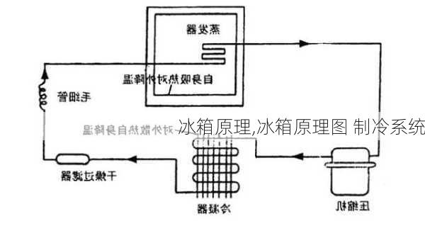 冰箱原理,冰箱原理图 制冷系统-第1张图片-求稳装修网