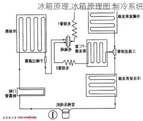 冰箱原理,冰箱原理图 制冷系统-第3张图片-求稳装修网