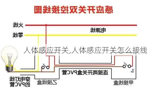 人体感应开关,人体感应开关怎么接线-第2张图片-求稳装修网