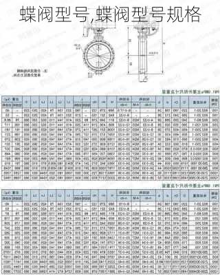 蝶阀型号,蝶阀型号规格-第3张图片-求稳装修网