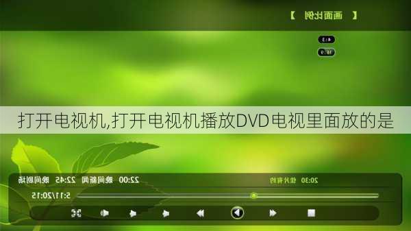 打开电视机,打开电视机播放DVD电视里面放的是-第1张图片-求稳装修网