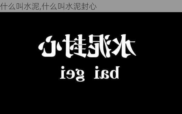 什么叫水泥,什么叫水泥封心-第2张图片-求稳装修网