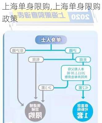 上海单身限购,上海单身限购政策-第2张图片-求稳装修网