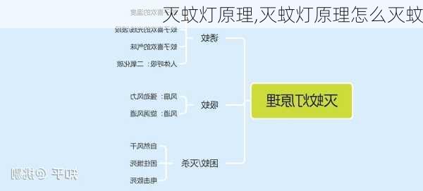 灭蚊灯原理,灭蚊灯原理怎么灭蚊-第1张图片-求稳装修网