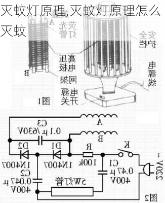 灭蚊灯原理,灭蚊灯原理怎么灭蚊-第3张图片-求稳装修网