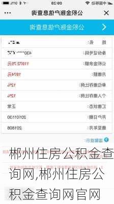 郴州住房公积金查询网,郴州住房公积金查询网官网-第1张图片-求稳装修网