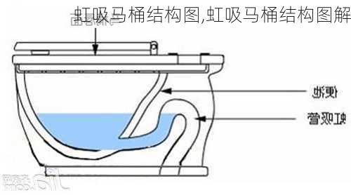 虹吸马桶结构图,虹吸马桶结构图解-第2张图片-求稳装修网