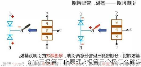 pnp三极管工作原理,3极管三个极怎么确定-第1张图片-求稳装修网