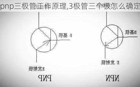 pnp三极管工作原理,3极管三个极怎么确定-第2张图片-求稳装修网