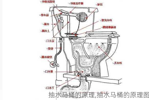 抽水马桶的原理,抽水马桶的原理图-第3张图片-求稳装修网