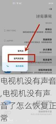 电视机没有声音,电视机没有声音了怎么恢复正常-第1张图片-求稳装修网