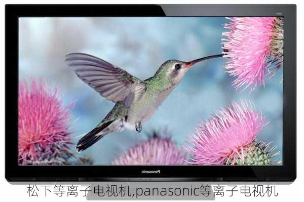 松下等离子电视机,panasonic等离子电视机-第1张图片-求稳装修网