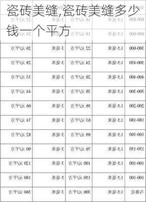 瓷砖美缝,瓷砖美缝多少钱一个平方-第2张图片-求稳装修网