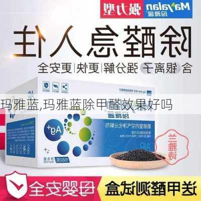 玛雅蓝,玛雅蓝除甲醛效果好吗-第2张图片-求稳装修网