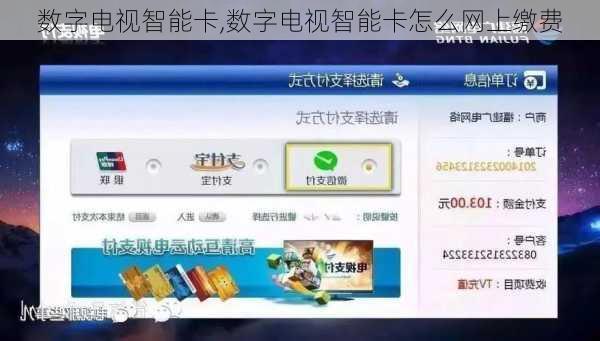 数字电视智能卡,数字电视智能卡怎么网上缴费-第3张图片-求稳装修网