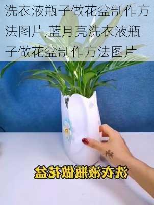 洗衣液瓶子做花盆制作方法图片,蓝月亮洗衣液瓶子做花盆制作方法图片-第2张图片-求稳装修网