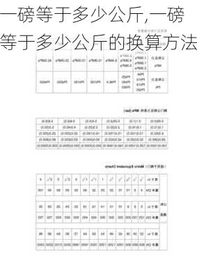 一磅等于多少公斤,一磅等于多少公斤的换算方法-第1张图片-求稳装修网