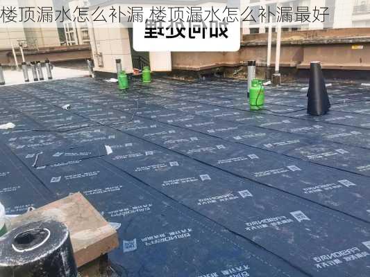 楼顶漏水怎么补漏,楼顶漏水怎么补漏最好-第3张图片-求稳装修网