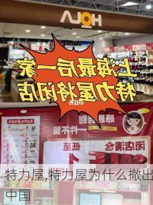 特力屋,特力屋为什么撤出中国