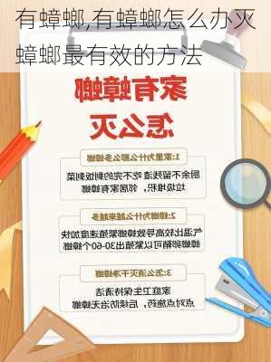 有蟑螂,有蟑螂怎么办灭蟑螂最有效的方法-第1张图片-求稳装修网