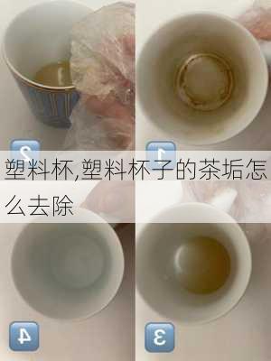 塑料杯,塑料杯子的茶垢怎么去除-第1张图片-求稳装修网