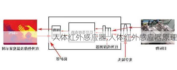 人体红外感应器,人体红外感应器原理-第2张图片-求稳装修网