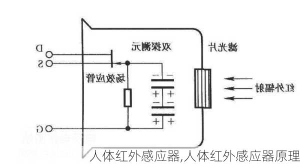 人体红外感应器,人体红外感应器原理-第3张图片-求稳装修网