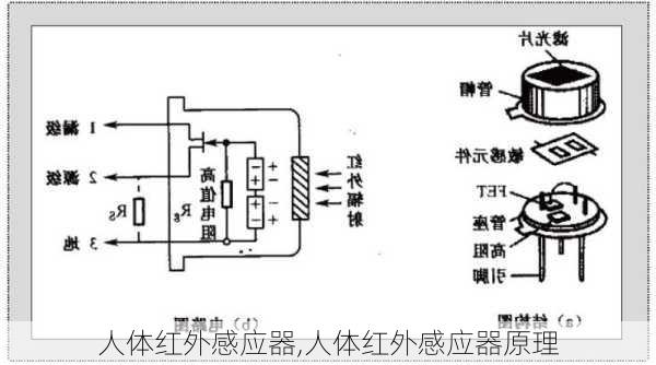 人体红外感应器,人体红外感应器原理