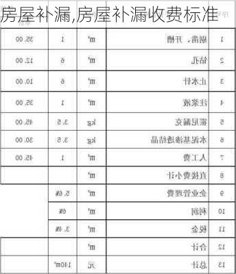 房屋补漏,房屋补漏收费标准-第2张图片-求稳装修网