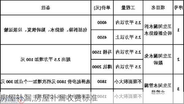 房屋补漏,房屋补漏收费标准-第1张图片-求稳装修网