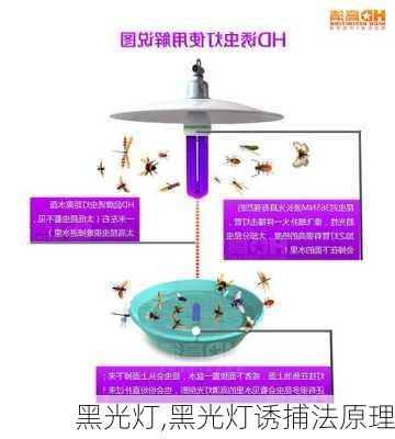 黑光灯,黑光灯诱捕法原理-第1张图片-求稳装修网