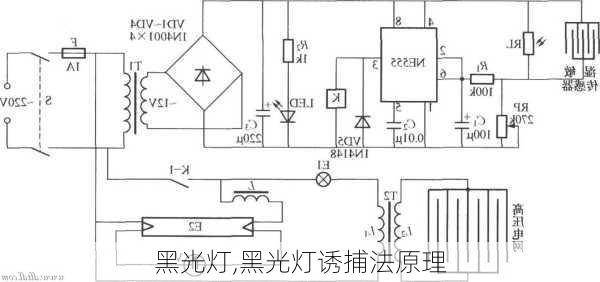 黑光灯,黑光灯诱捕法原理-第3张图片-求稳装修网