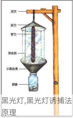 黑光灯,黑光灯诱捕法原理-第2张图片-求稳装修网
