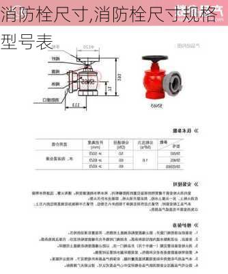 消防栓尺寸,消防栓尺寸规格型号表-第3张图片-求稳装修网