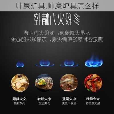 帅康炉具,帅康炉具怎么样-第3张图片-求稳装修网