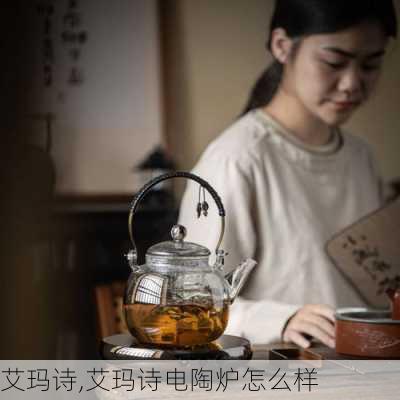 艾玛诗,艾玛诗电陶炉怎么样-第2张图片-求稳装修网