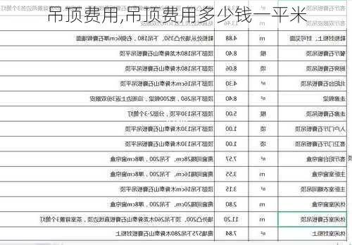 吊顶费用,吊顶费用多少钱一平米-第2张图片-求稳装修网