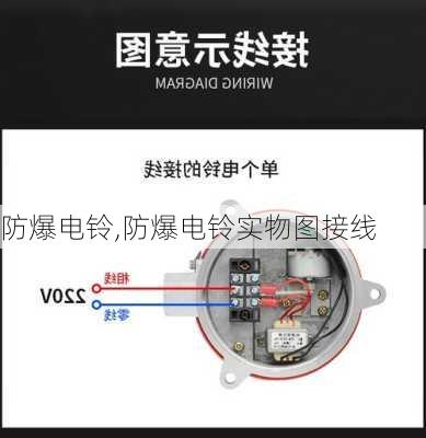 防爆电铃,防爆电铃实物图接线-第1张图片-求稳装修网