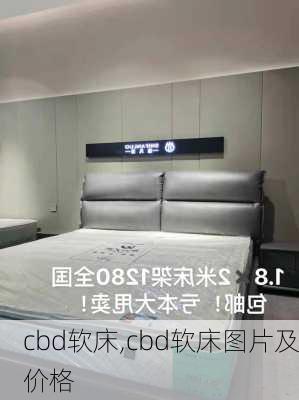 cbd软床,cbd软床图片及价格-第1张图片-求稳装修网