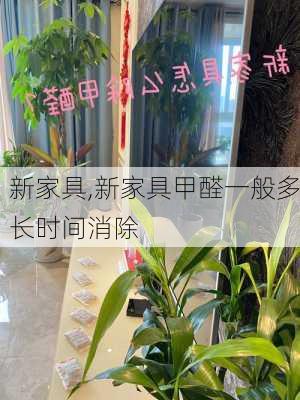 新家具,新家具甲醛一般多长时间消除-第3张图片-求稳装修网