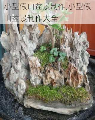 小型假山盆景制作,小型假山盆景制作大全-第2张图片-求稳装修网