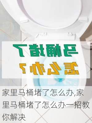 家里马桶堵了怎么办,家里马桶堵了怎么办一招教你解决-第2张图片-求稳装修网