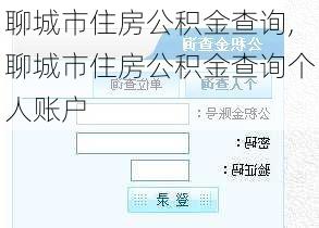 聊城市住房公积金查询,聊城市住房公积金查询个人账户-第3张图片-求稳装修网