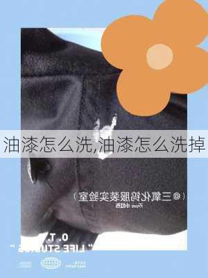 油漆怎么洗,油漆怎么洗掉-第3张图片-求稳装修网