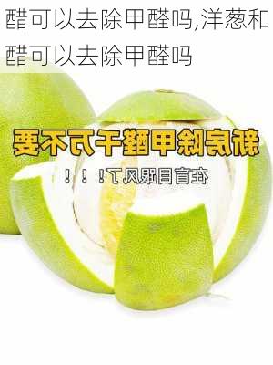 醋可以去除甲醛吗,洋葱和醋可以去除甲醛吗-第2张图片-求稳装修网