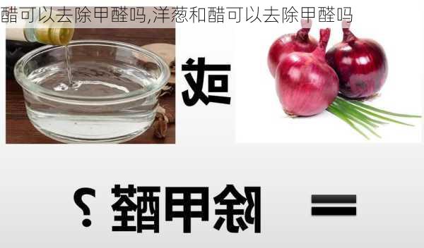 醋可以去除甲醛吗,洋葱和醋可以去除甲醛吗-第3张图片-求稳装修网