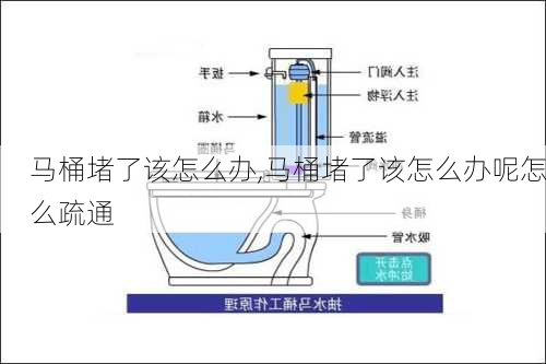 马桶堵了该怎么办,马桶堵了该怎么办呢怎么疏通-第2张图片-求稳装修网