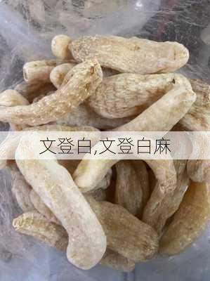 文登白,文登白麻-第2张图片-求稳装修网